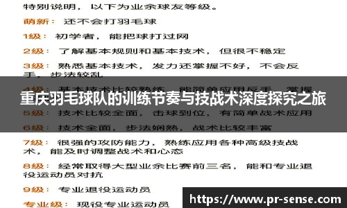 重庆羽毛球队的训练节奏与技战术深度探究之旅