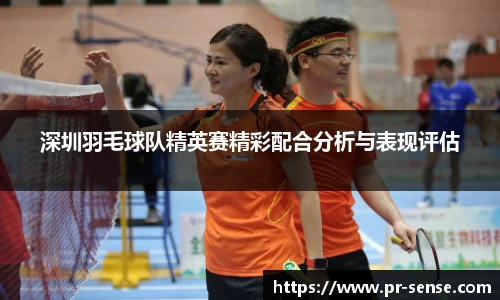 深圳羽毛球队精英赛精彩配合分析与表现评估